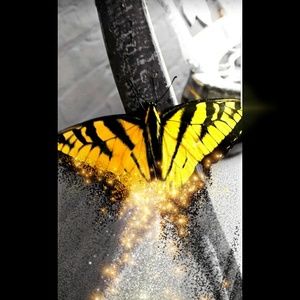 Meet your Posher, Courtney